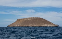 Daphne- Galápagos
