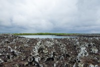 Vue sur le champ de lave - Tintoreras - Isabela - Galápagos