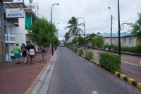 Avenue Charles Darwin - Puerto Ayora - Santa Cruz - Galápagos