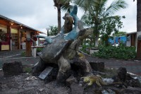 Statue - Puerto Ayora - Santa Cruz - Galápagos
