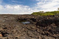 Lave aa - Punta Moreno - Isabela - Galápagos