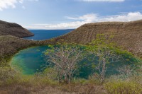 Lac d'eau salée et vue sur la mer - Tagus Cove - Isabela - Galápagos
