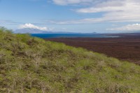 Vue sur Isabela - Tagus Cove - Isabela - Galápagos